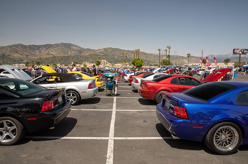 Newedge cobra mustang parking at show