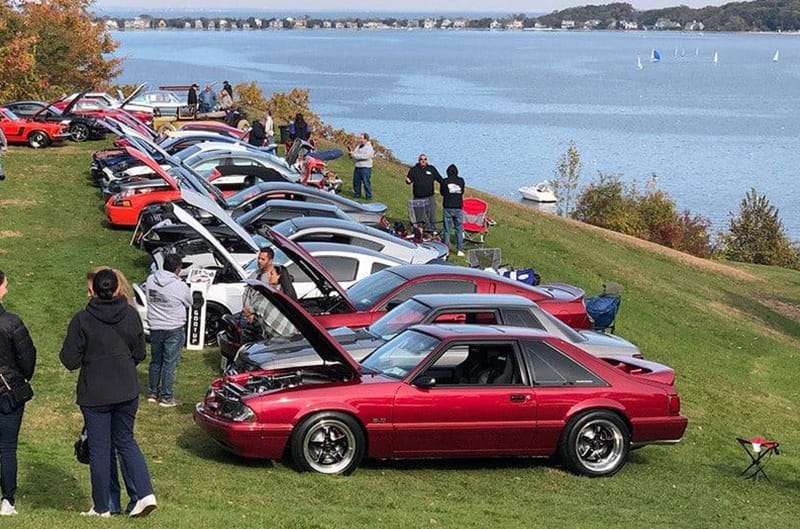 Mustangs parked by lake