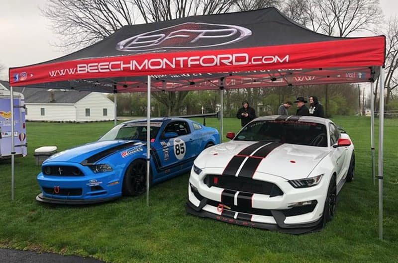 Two mustangs under tent