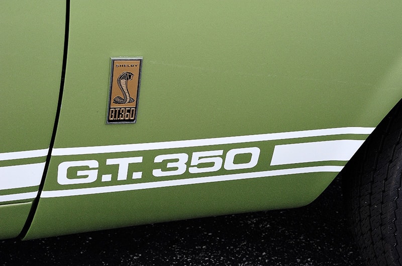 shelby GT350 stripes and name on fender