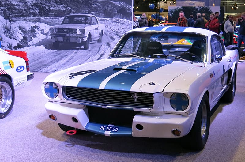 Shelby on display