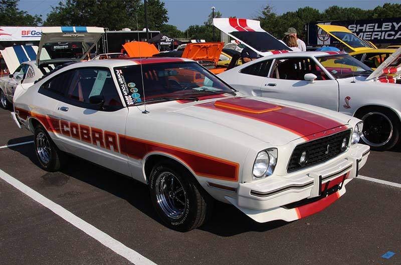 White with Re mustang 2