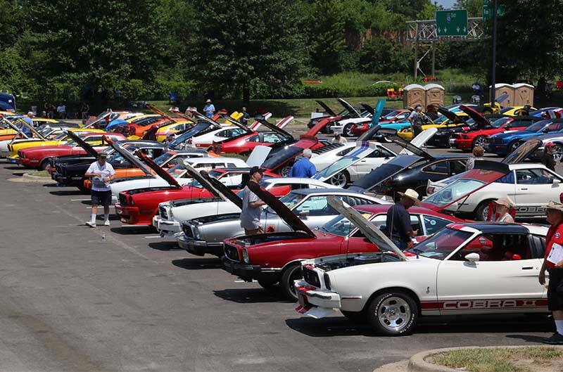 Mustangs parked at event