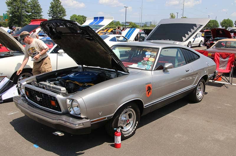 Silver Mustang 2