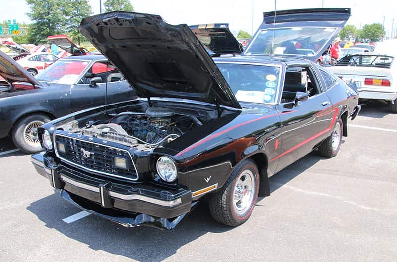 Black Mustang 2