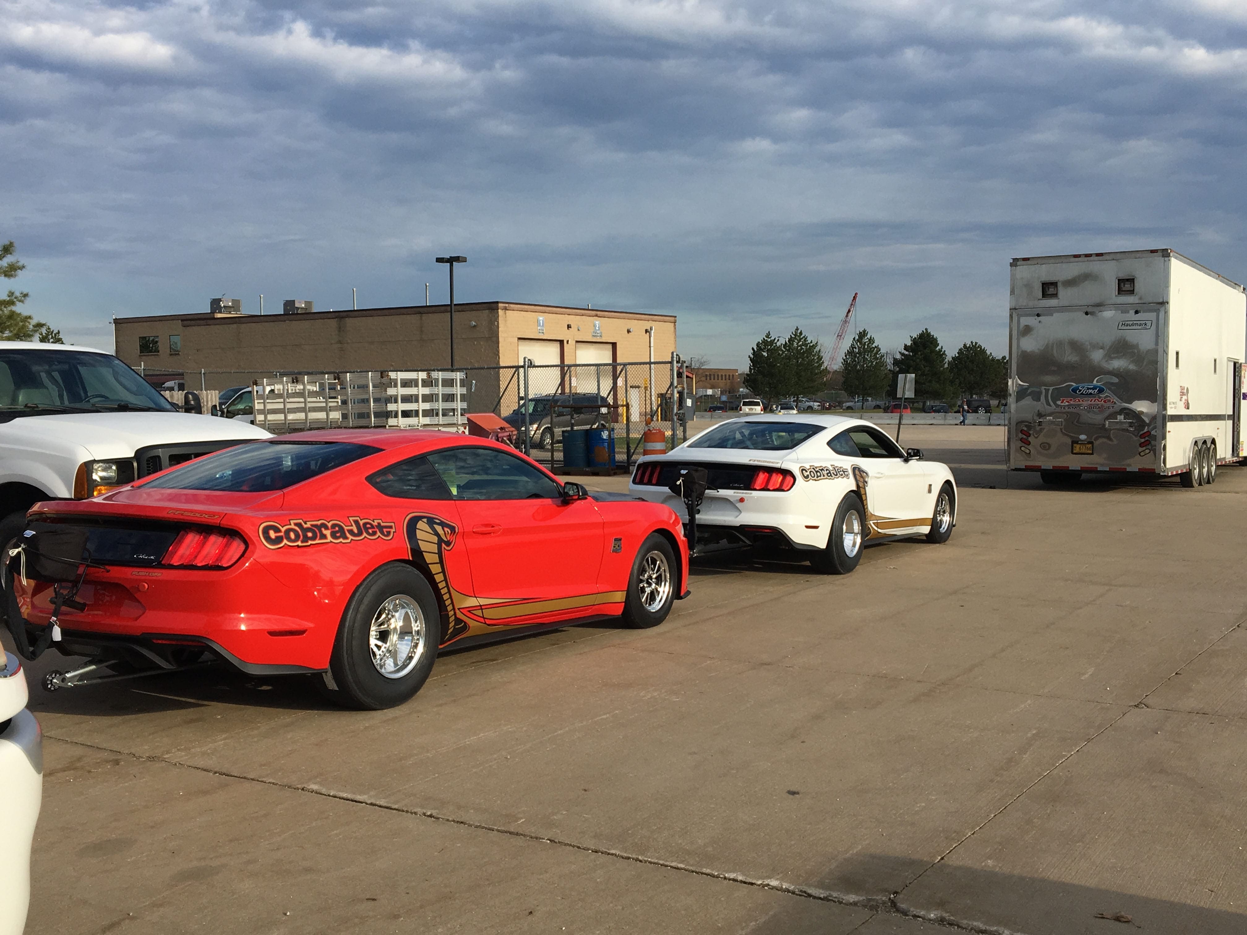 Parking lot with a red 50th Anniversary Cobra Jet and white 50th Anniversary Cobra Jet