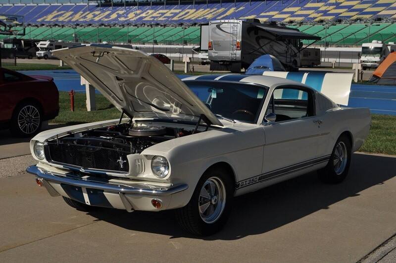 oval shelby oval shelby