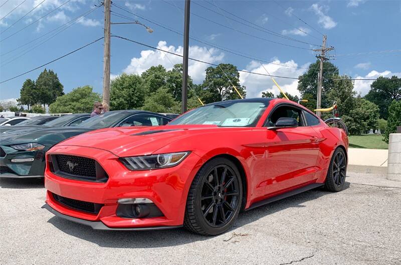best bike rack ford mustang
