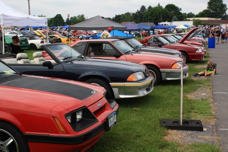 Various Fords in a line at a car show