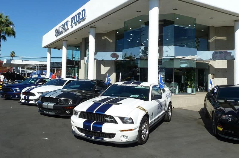 Various Shelbys on display in front of Galpin Ford dealership 