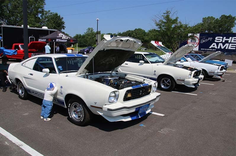 White Mustang 2 