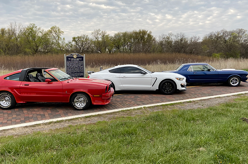 Red White and Blue Mustangs 