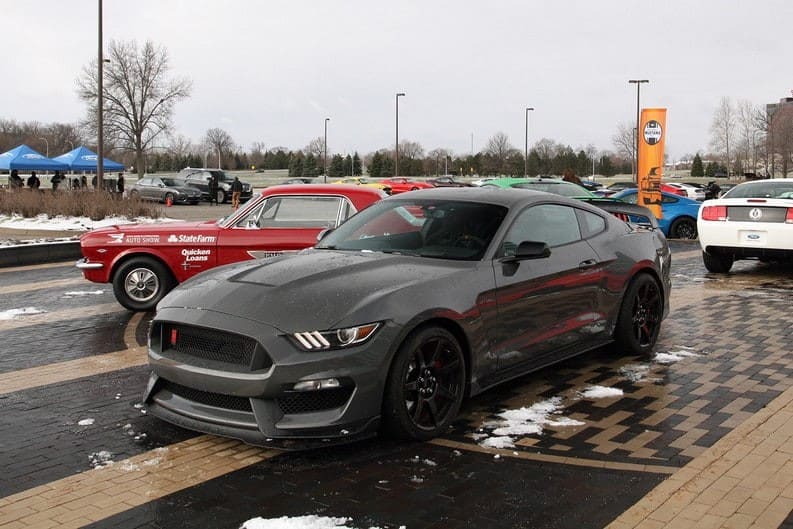 A grey Ford Mustang on display with other Mustangs