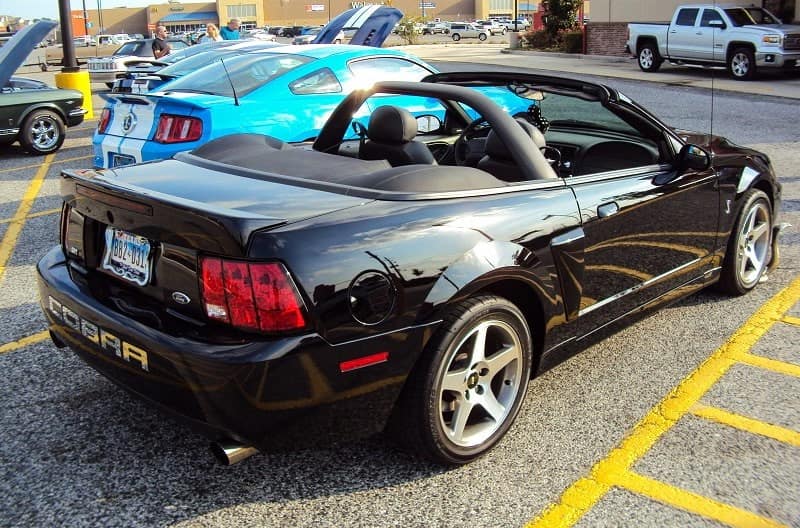 A rear side view of a black cobra sitting next to Mustangs