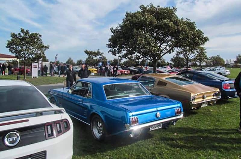 A variety of classic and current Mustangs on display on National Mustang Day