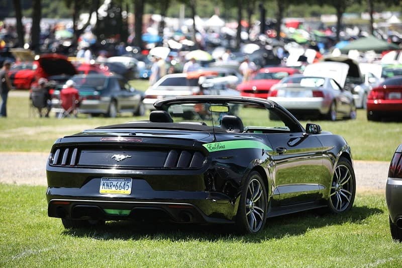 A rear view of a black Ford Mustang on display 