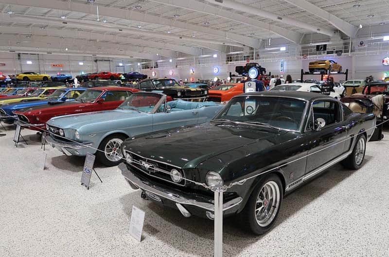 First Generation Ford Mustangs in museum with white floor