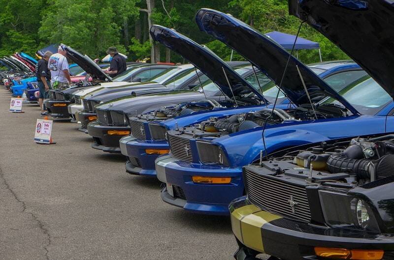A closeup of the front side of a variety of Mustangs on display 