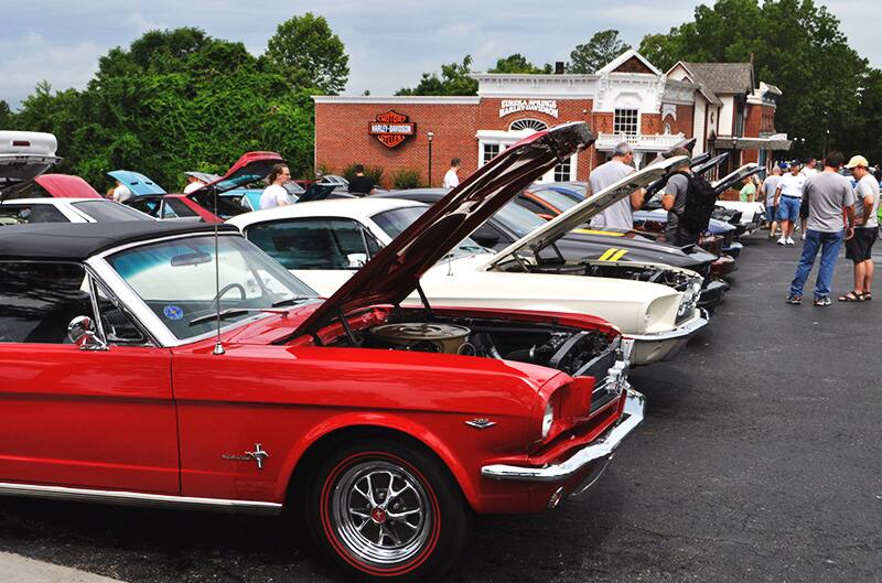 Ponies Prep For Ozarks Stampede To Eureka Springs Mustang Days
