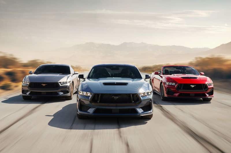 Mustang family